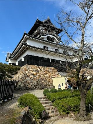 犬山城の登城記録(こーちんさん)