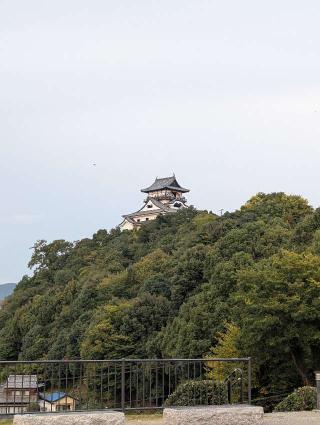 犬山城（白帝城）の登城記録(アイスオブファイアさん)