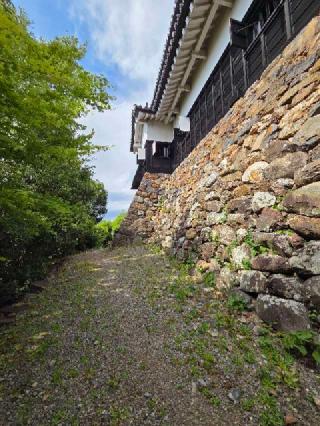 犬山城（白帝城）の登城記録(jinさん)