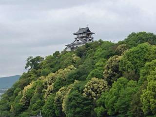 犬山城（白帝城）の登城記録(はるけいぱぱさん)