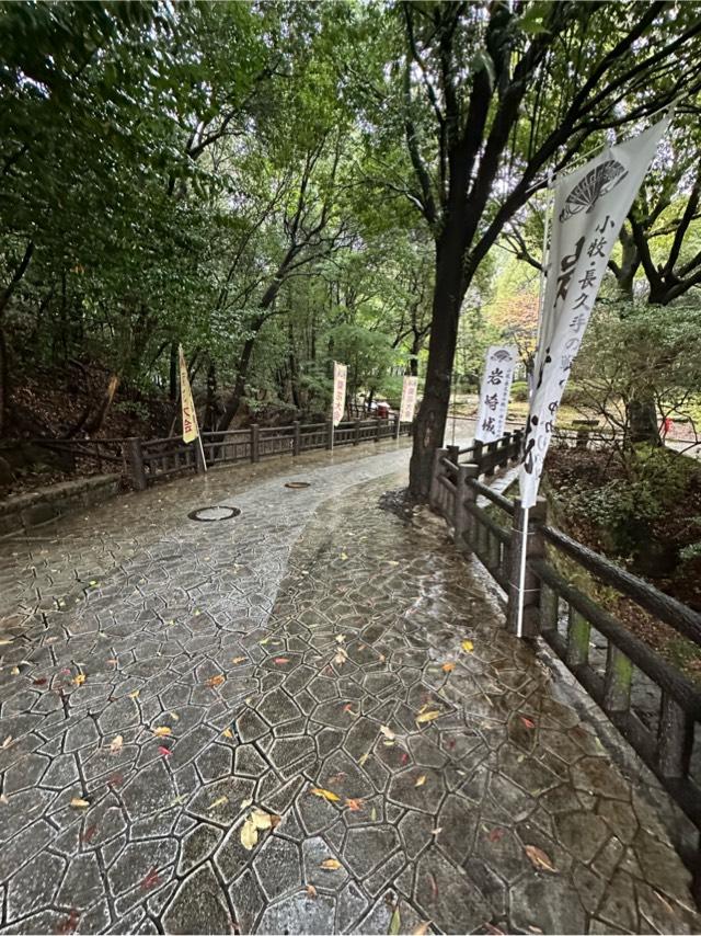 愛知県日進市岩崎町市場６７ 岩崎城の写真5