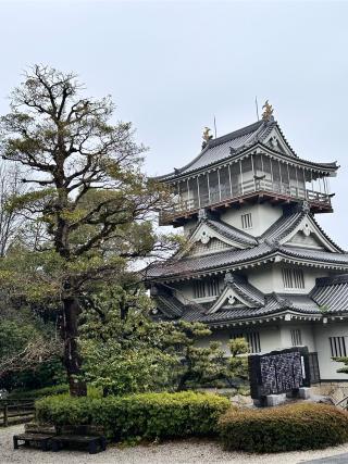 岩崎城の登城記録(しえるさん)