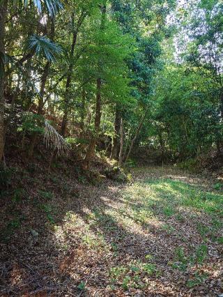 岩崎城の登城記録(くぺさん)