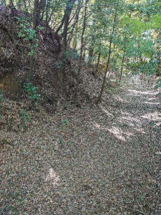 岩崎城の登城記録(くぺさん)