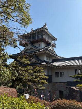 岩崎城の登城記録(チョコ康さん)