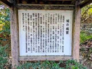 岩崎城の登城記録(おーよさん)