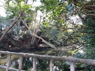 大草城〈知多市〉の登城記録(くーさん)