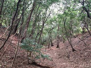 大高城の登城記録(くーさん)