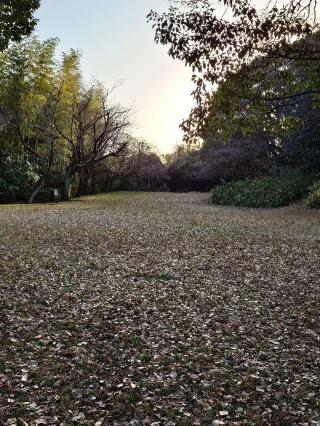 大高城の登城記録(くぺさん)