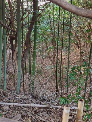 大高城の登城記録(くぺさん)