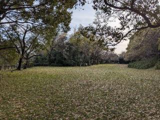 大高城の登城記録(たくあんさん)