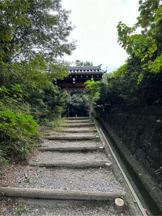 大野城〈常滑市〉の登城記録(清正さん)