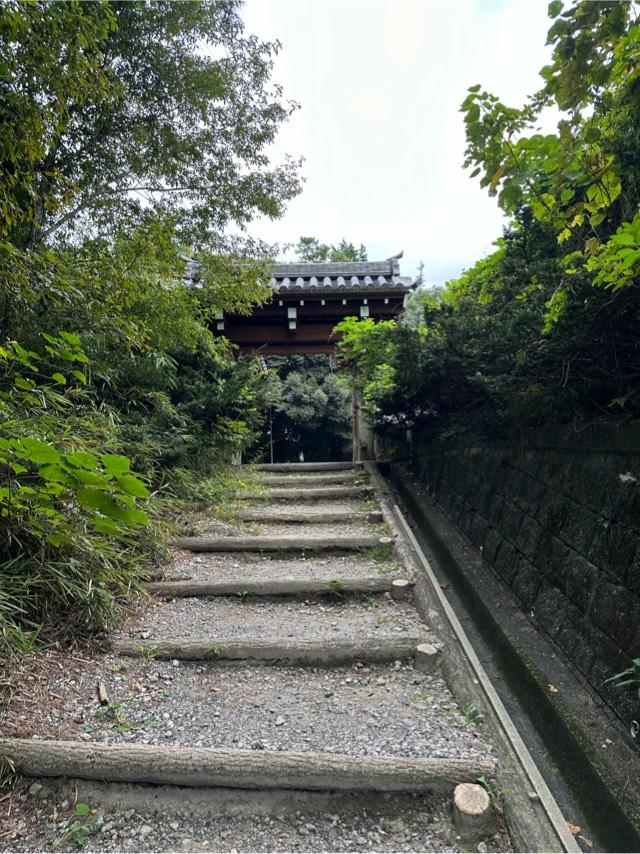 愛知県常滑市金山城山 大野城（宮山城）の写真3