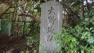 大野城（宮山城）の登城記録(オカドンさん)