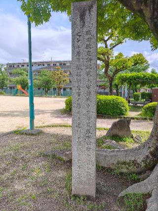 小田井城の登城記録(マリリさん)