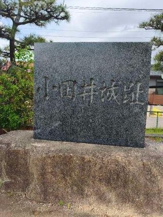 小田井城の登城記録(マリリさん)