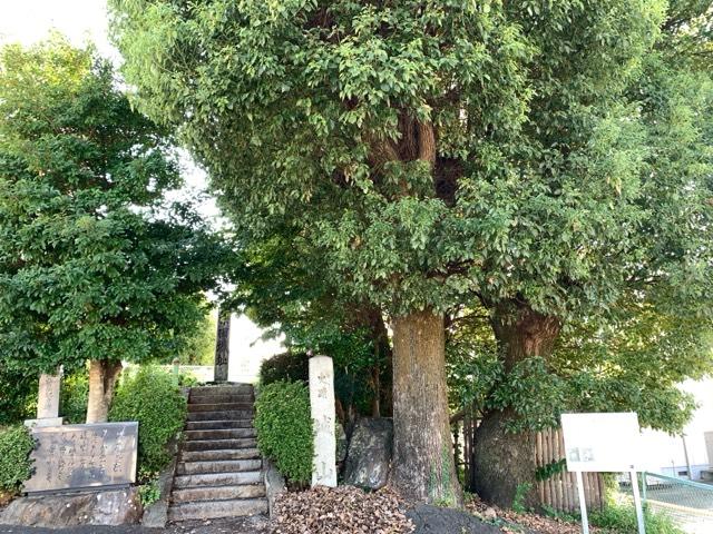 愛知県犬山市城山４８ 楽田城の写真2