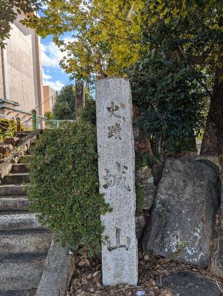 楽田城の登城記録(はしおさん)