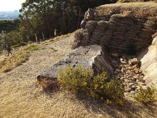 小牧山城（小牧城）の登城記録(本多百助さん)