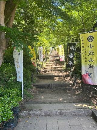 小牧山城（小牧城）の登城記録(きくちゃんさん)