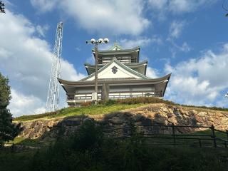 小牧山城の登城記録(名古屋 山三郎さん)