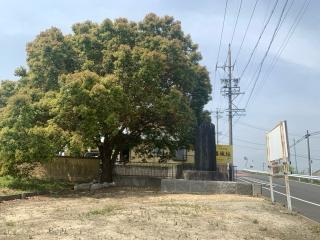 勝幡城の登城記録(くーさん)