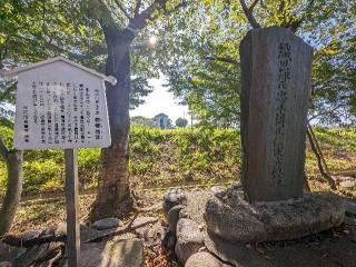 勝幡城の登城記録(こびのもぐらさん)