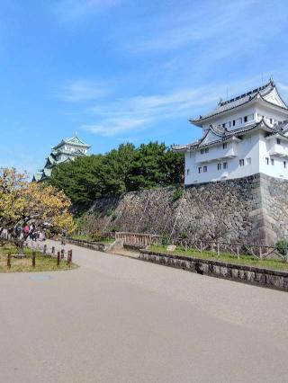 名古屋城（金鯱城）の登城記録(ゴン太さん)