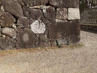 名古屋城（金鯱城）の登城記録(本多百助さん)