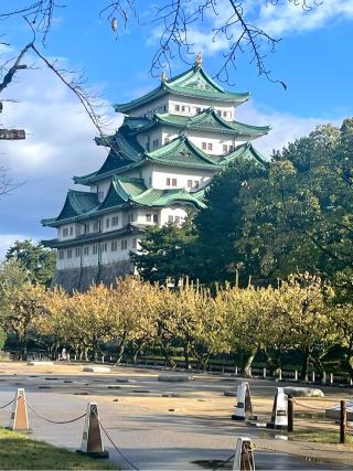名古屋城（金鯱城）の登城記録(チョコ康さん)