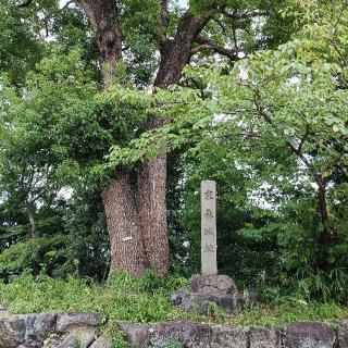 末森城の登城記録(ヒロさん)
