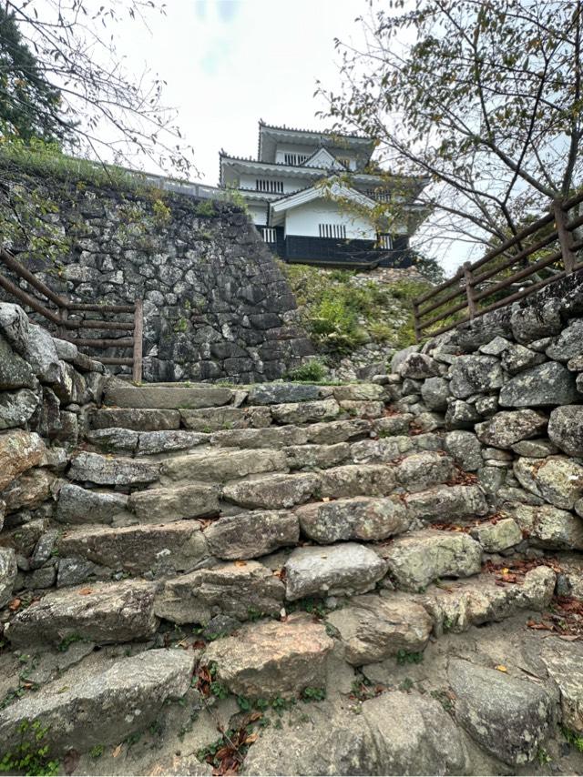 愛知県豊橋市今橋町 吉田城（今橋城）の写真4