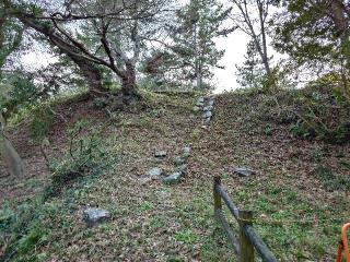 吉田城（今橋城）の登城記録(本多百助さん)