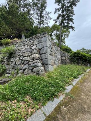 吉田城（今橋城）の登城記録(無極さん)