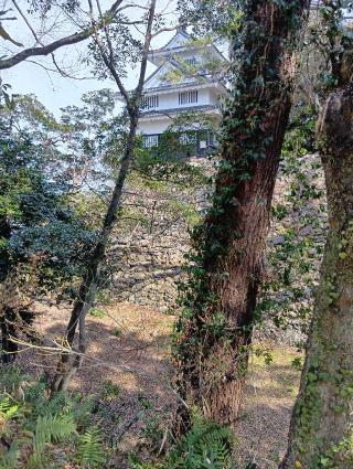 吉田城（今橋城）の登城記録(生涯足軽さん)