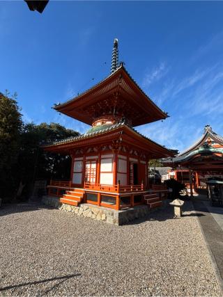 竜泉寺城の登城記録(SAMIKAさん)