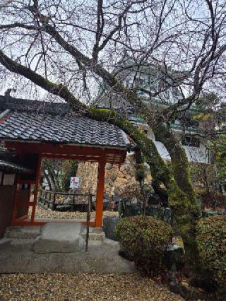 竜泉寺城の登城記録(あさん)