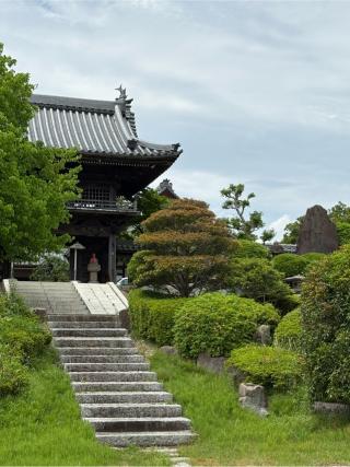 安城城（安祥城）の登城記録(チョコ康さん)