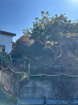 牛久保城の登城記録(山城あおばさん)