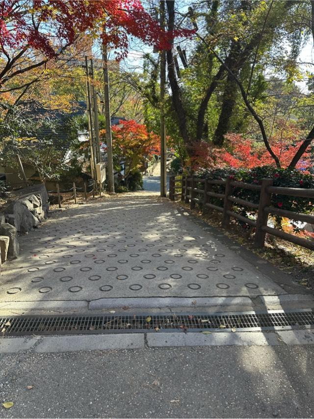 愛知県岡崎市康生町５６１−１ 岡崎城（龍城）の写真5