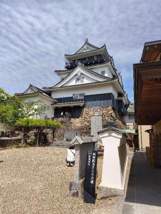 岡崎城（龍城）の登城記録(マリリさん)