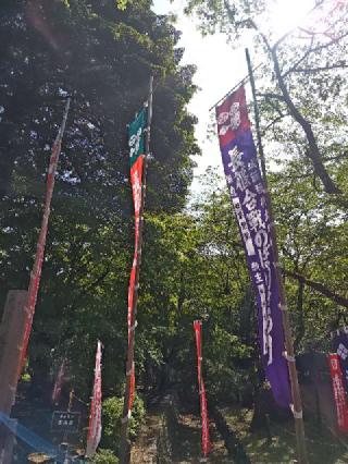岡崎城（龍城）の登城記録(yossyさん)
