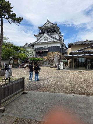 岡崎城（龍城）の登城記録(jinさん)
