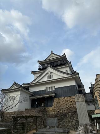 岡崎城（龍城）の登城記録(とも殿さん)
