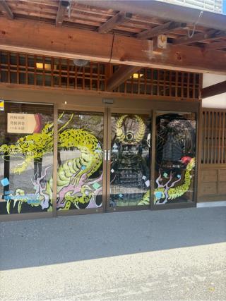 岡崎城（龍城）の登城記録(ジェイバーたかよし　さん)