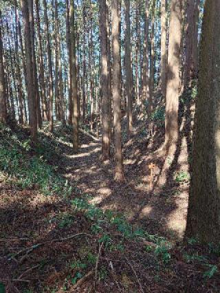 古宮城の登城記録(くぺさん)