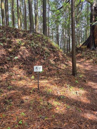 古宮城の登城記録(jinさん)