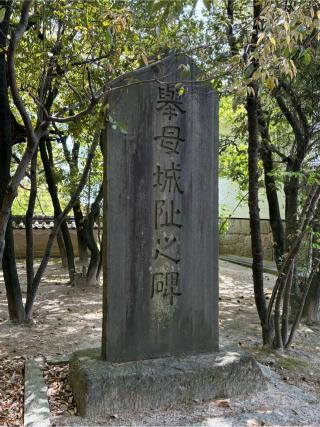 七州城（挙母城）の登城記録(チョコ康さん)