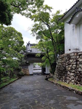 田原城の登城記録(ゆんさん)