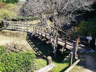 田峯城の登城記録(本多百助さん)